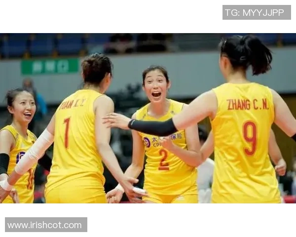 杭州排球队强势崛起排球力量排行榜荣获第五名